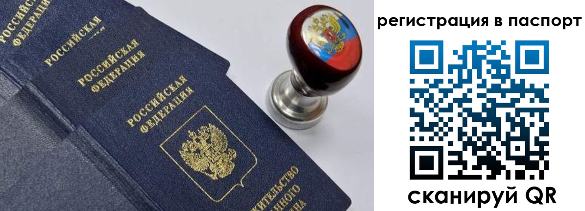 прописка поиск в Зернограде